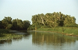 667_Yellow Water - Kakadu